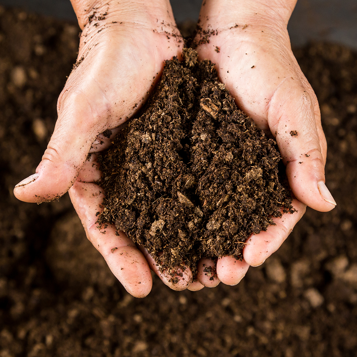 Potting Mix, Compost & Amendments